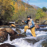 Vissen & jacht
